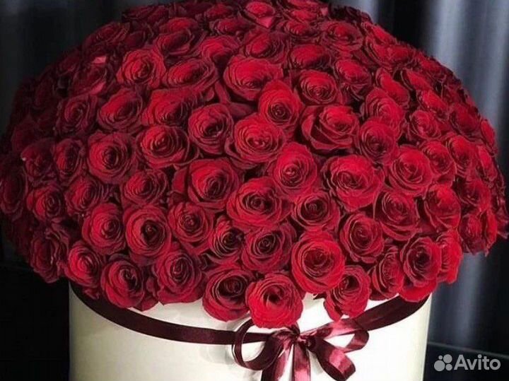 Розы на 8 марта, 101 роза, 10001 роза