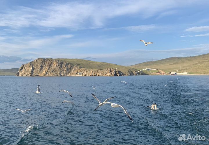 Туры по России 2024