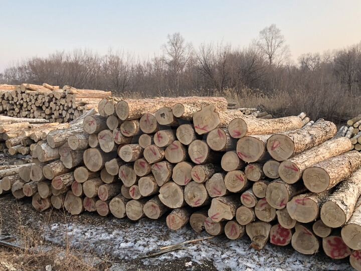 Производство, 476.41 м²