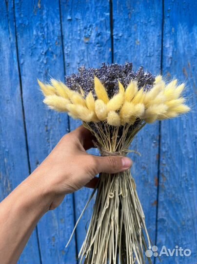 Букет с лагурусом и лавандой