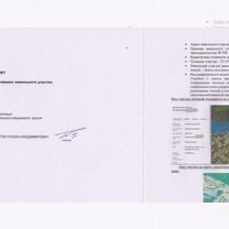 Проверка участков, оформление земли и построек, Мытищи