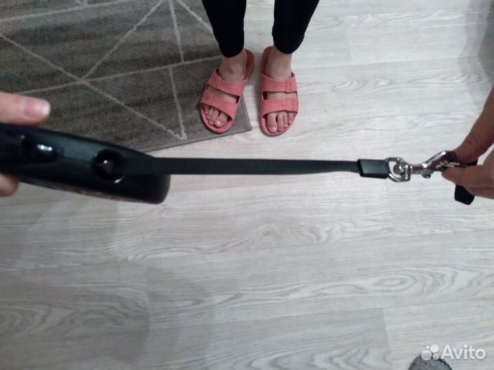 Рулетка для собаки flexi 5м до 15кг с подарком