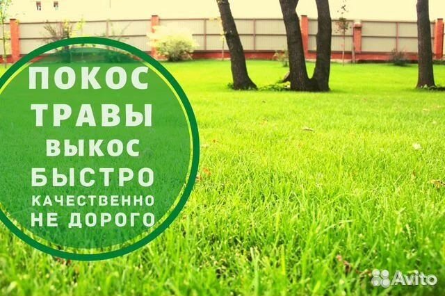 Покос травы триммером