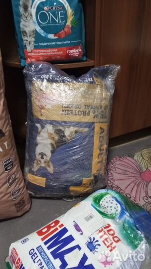 Корм для кошек