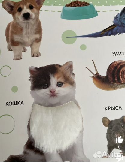 Развивающие книги для детей