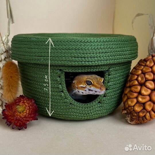 Влажная камера для рептилий