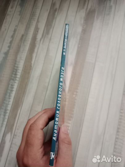 Анатомия головного мозга. Фотографический атлас