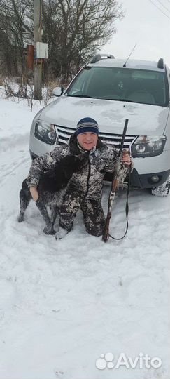 Дратхаар вязка