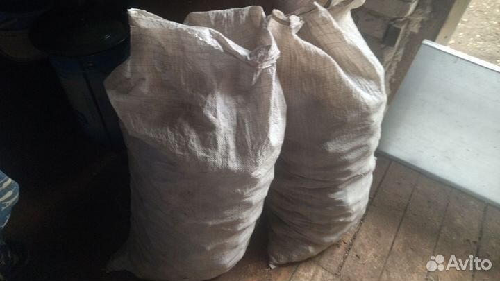 Семенной картофель