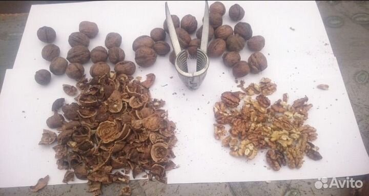 Орех грецкий в скорлупе