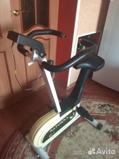 Велотренажер казанова