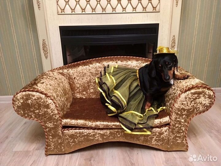 Диван для животных