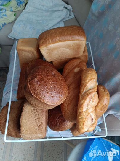 Хлеб на корм животных