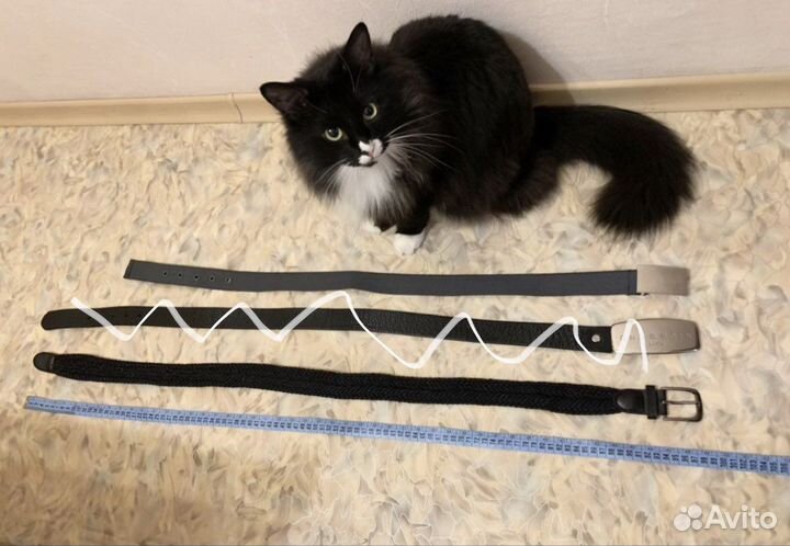 Ремень Школа