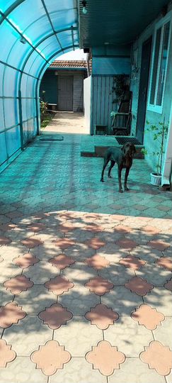 Дом 46 м² на участке 5 сот.