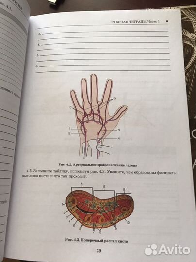 Рабочие тетради по охта 1,2 части