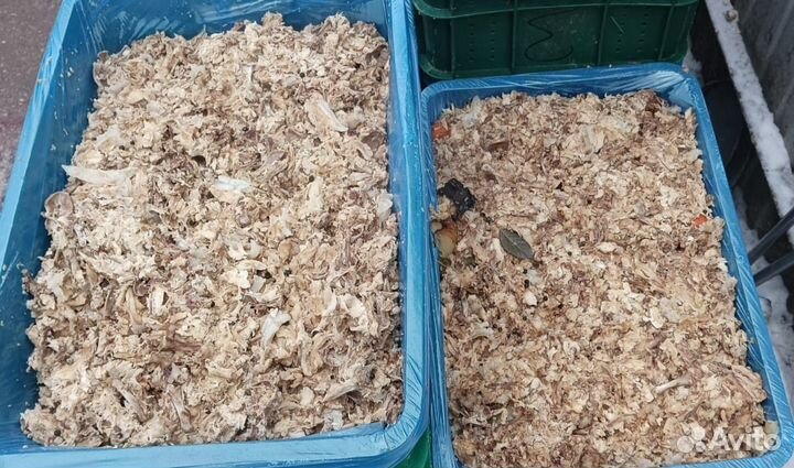 Корм еда животным - курица, говядина, рыба