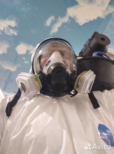 Уничтожение Тараканов Клопов Дезинсекция