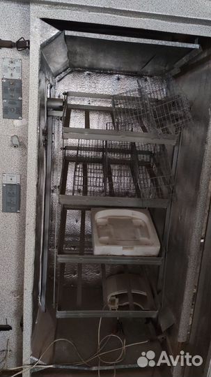 Инкубатор выводной 