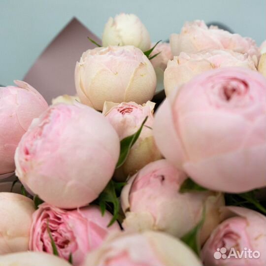 Кустовые розы для воспитателя с доставкой