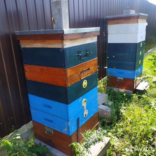 Пчелы на высадку и ульи