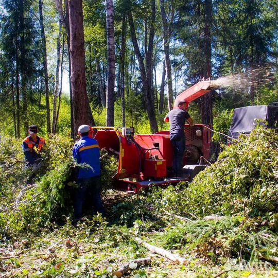 Уборка территорий/дачных участков/планировка