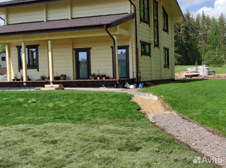 Качественный газон спортивный