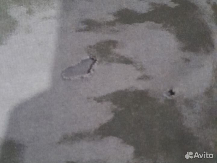 Футболка детская для мальчика 146 152