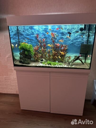Аквариум 210 литров с тумбой