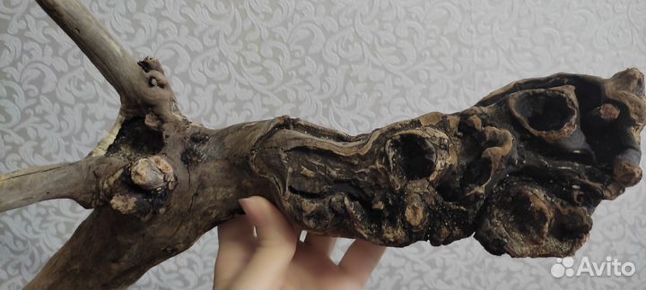 Дрифтвуд коряга для декора, интерьера