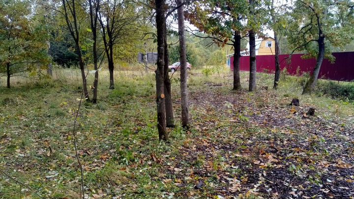 Участок 12 сот. (СНТ, ДНП)