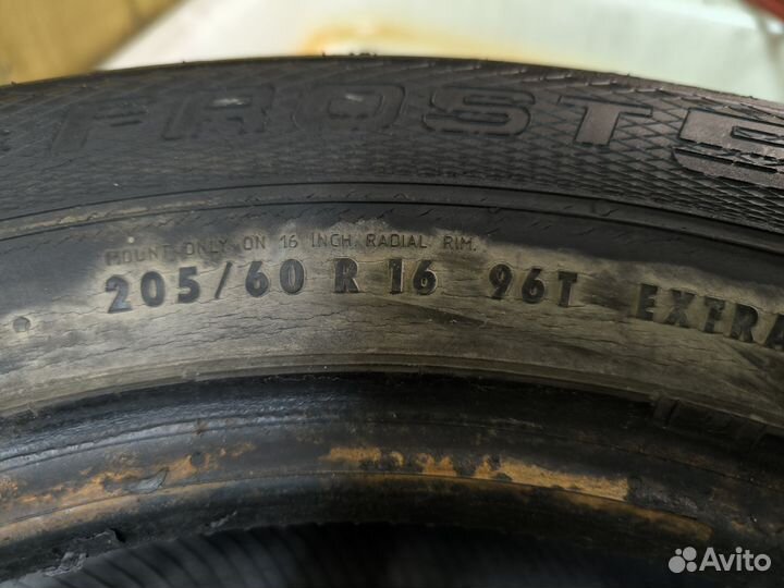 Gislaved Nord Frost 5 205/60 R16 96T