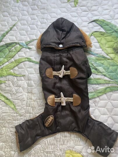 Обувь для собак 1