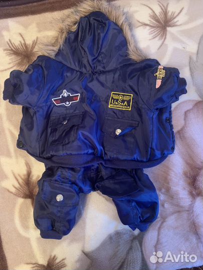 Одежда для маленьких собак