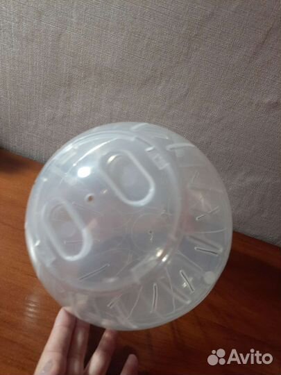 Прогулочный шар для грызунов