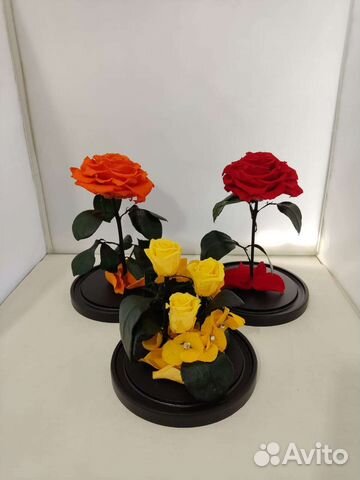 Роза в колбе