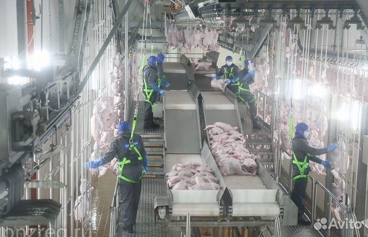 Рабочие РФ, KZ.KP в мясной цех(индейка) вахта