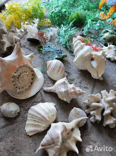 Аксессуары для аквариума б/у