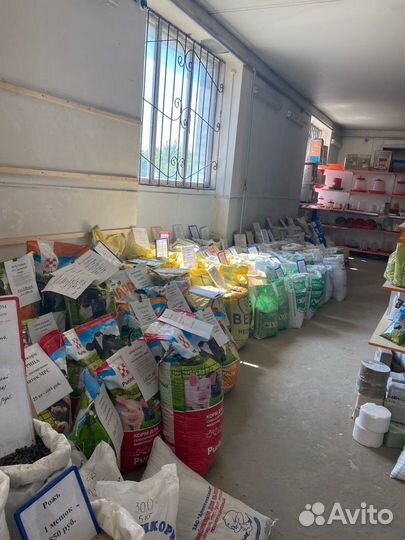 Мистер кет для кошек в ассортименте