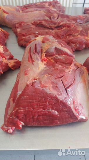 Мясо Говядина