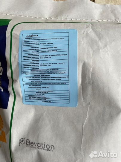 Семена подсолнечника Suzuka (Экспресс)