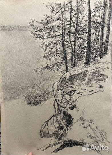Рисунок графика зарисовка пейзаж углем чб берег