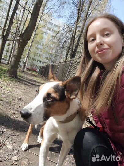 Классный парень среднего размера в добрые ручки