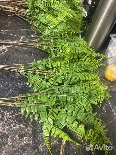 Искуственый папортоник