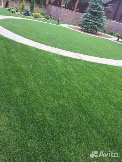 Рулонный газон под ключ
