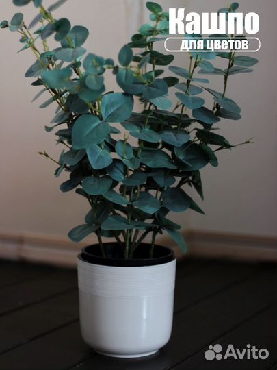 Предметный фотограф