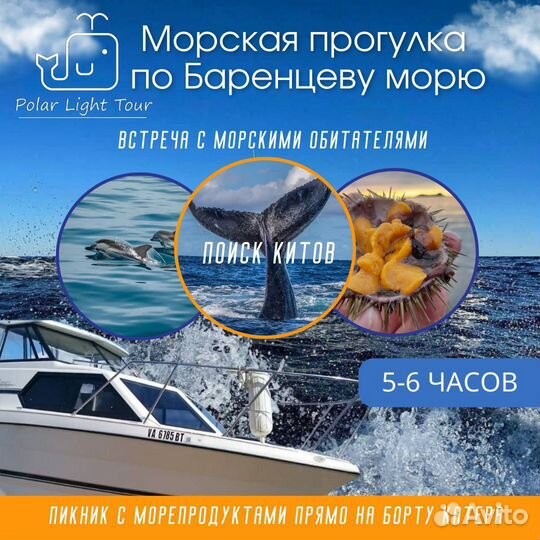 Морская рыбалка в Териберке