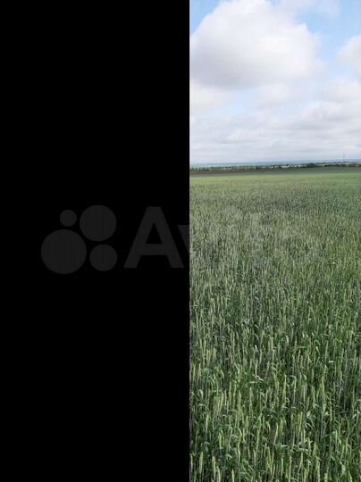 Участок 30 га (СНТ, ДНП)