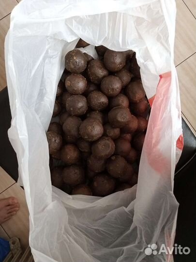 Продам прополис