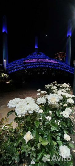 Гид-экскурсовод / Индивидуальный тур